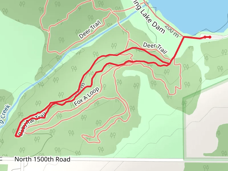 Baby Rat Loop Trail - Spring Lake