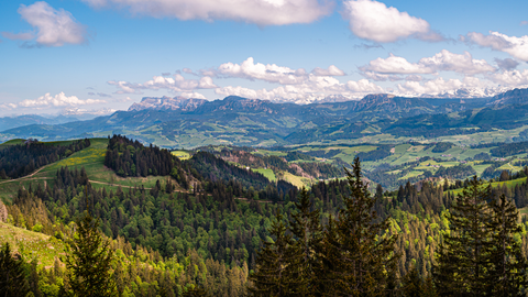 Rundwanderung Luthern - Heuberg - Nesslisbode