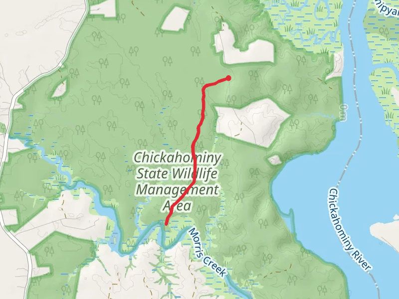 Morris Creek via Eagles Nest Road