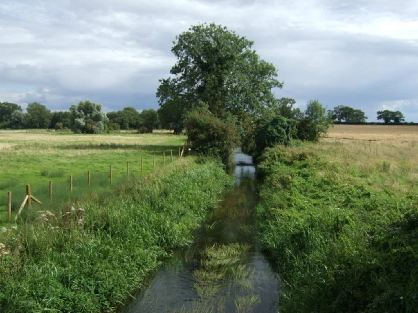 An image depicting the trail Woodnewton Loop and its surrounding area.