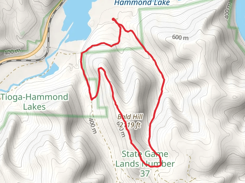 Bald Hill Loop via C Lynn Keller Trail