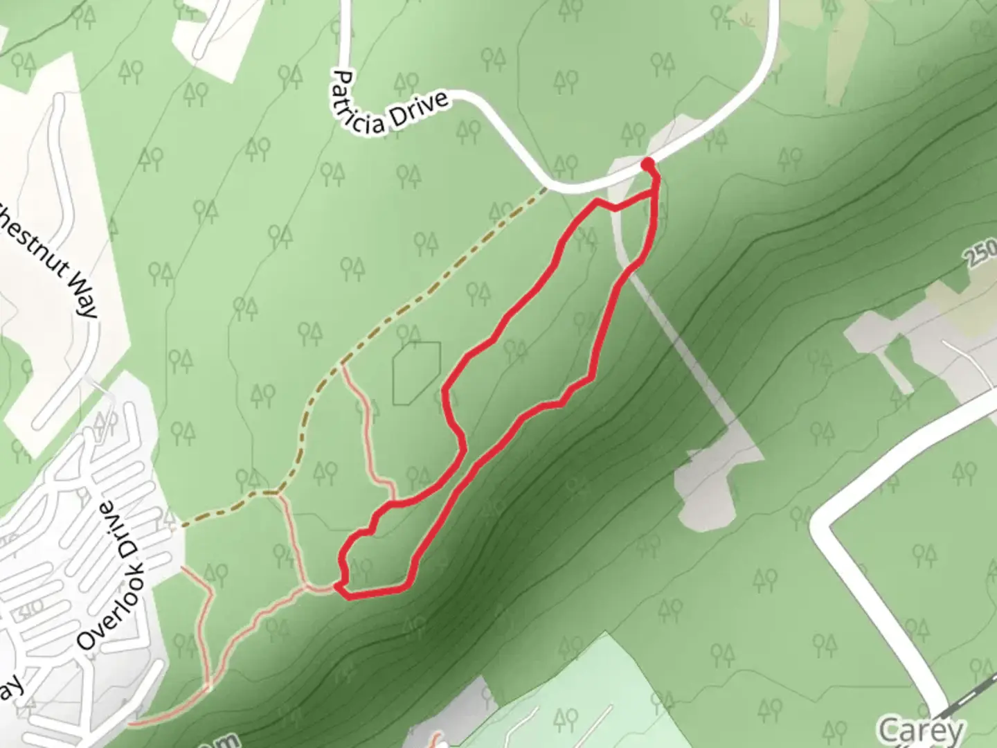 An image depicting the trail Patricia Drive Loop - South and its surrounding area.