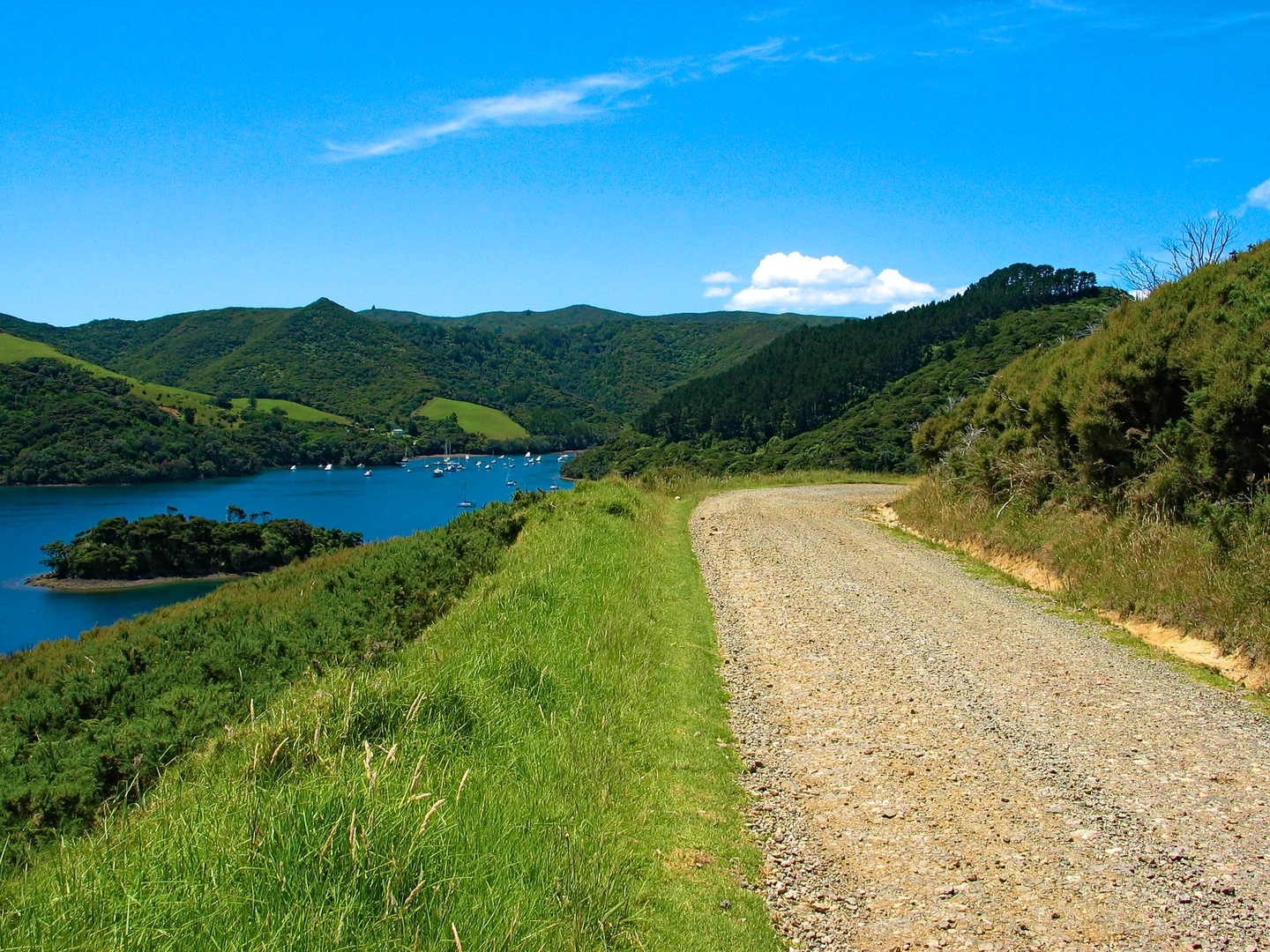 An image depicting the trail Bridle Track and its surrounding area.