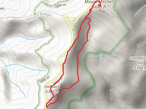 Hallback and Mount Mitchell Loop