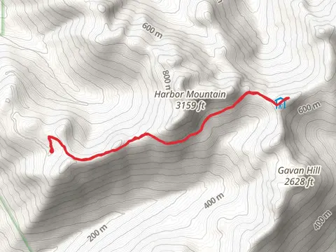 Harbor Mountain - Gavan Hill Trail Out and Back