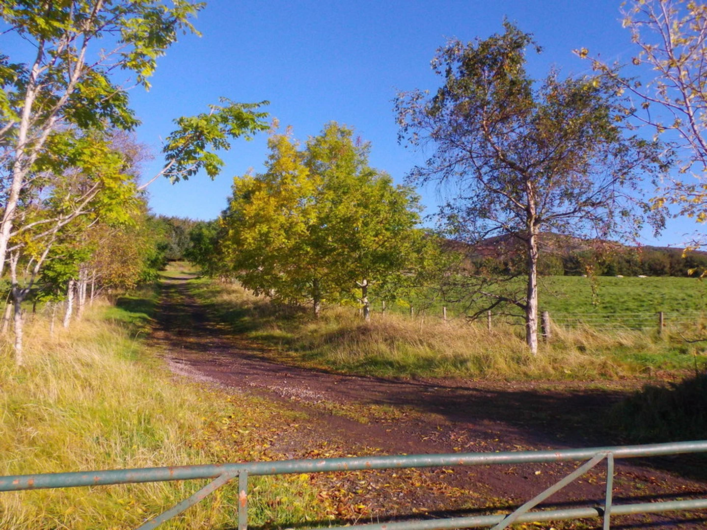 An image depicting the trail Raven Loop Trail and its surrounding area.