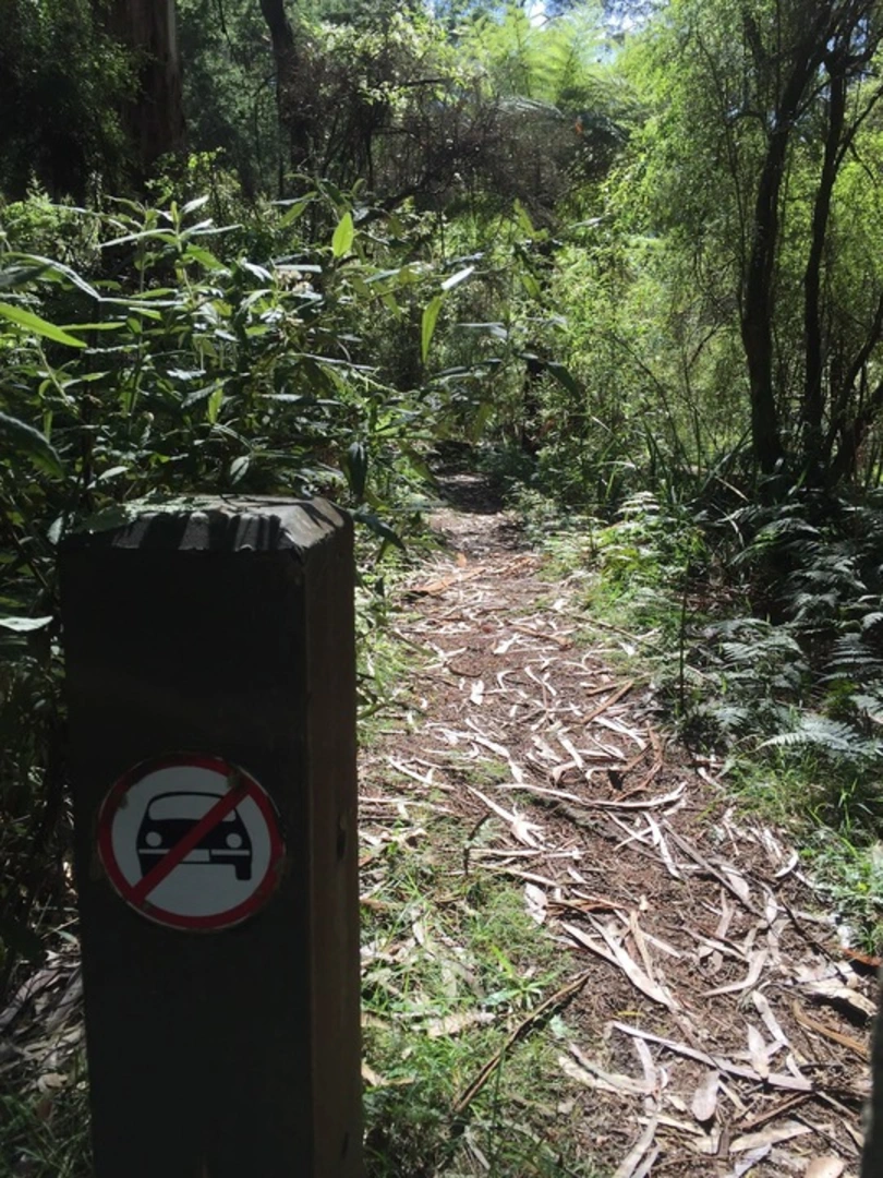 An image depicting the trail Four Brothers Rocks Trail and its surrounding area.