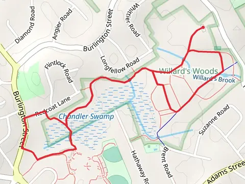 Willard Brook and Pond Loop