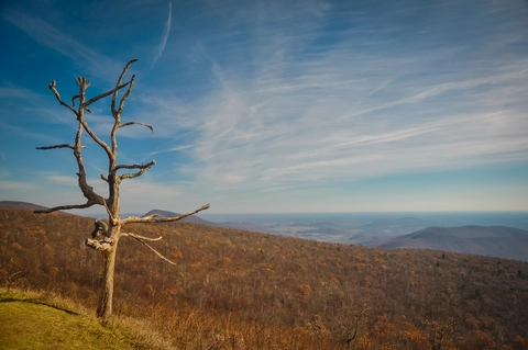 Sugarloaf Loop via Piney Branch and Appalachian Trails