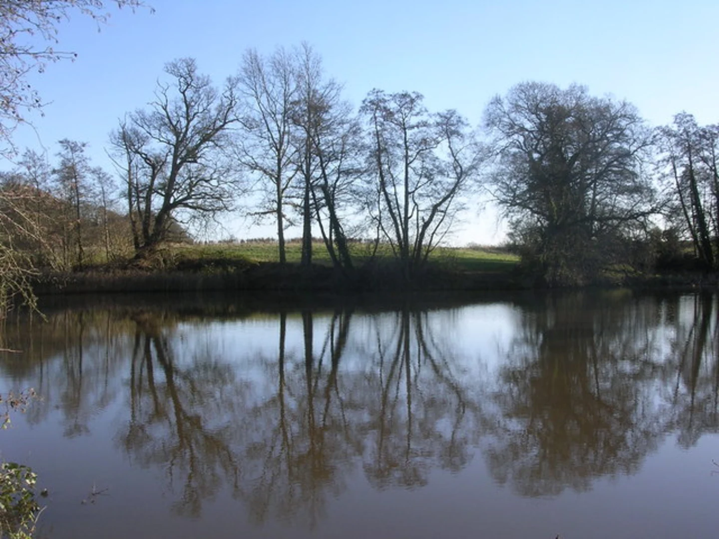 An image depicting the trail Ombersley Park, Gardner's Grove and Nunnery Wood Loop and its surrounding area.