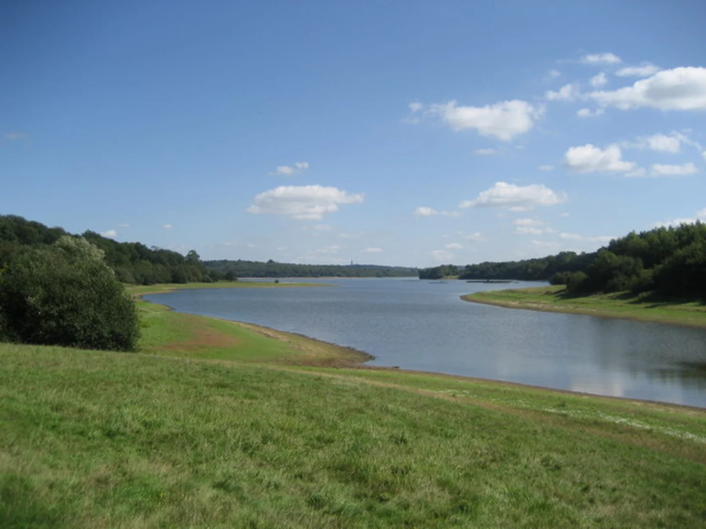 An image depicting the trail Bewl Water Loop and its surrounding area.