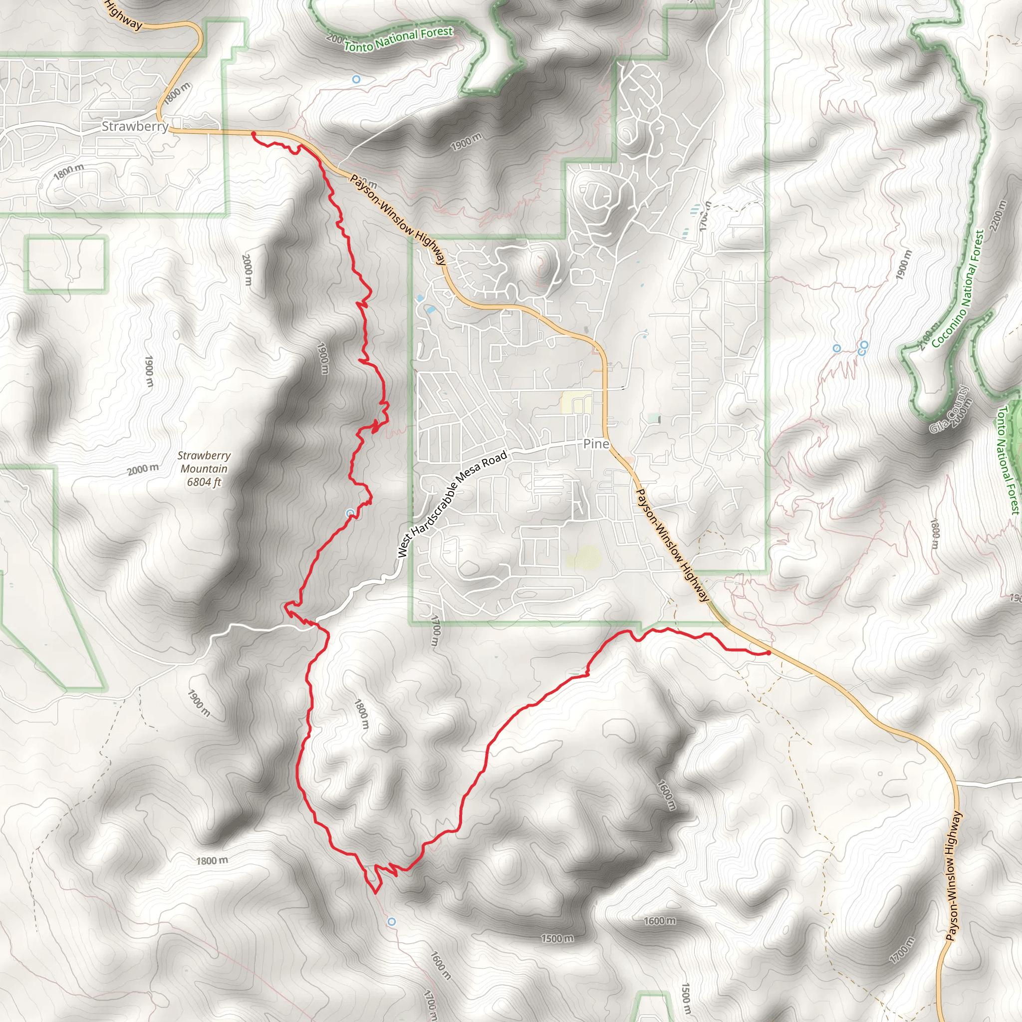 Pine Strawberry and Oak Spring Trail mobile static map