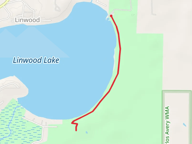 Linwood Lake Eastern Shore Walk