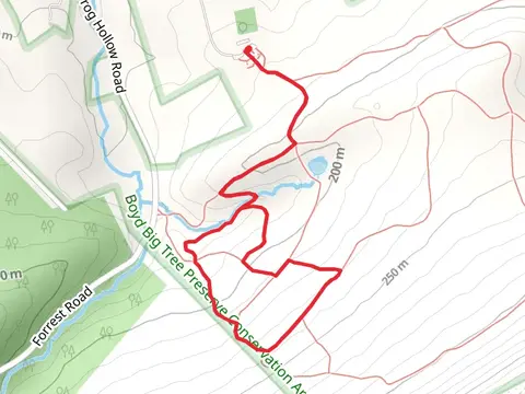 Creek Trail from Frog Hollow Road Loop