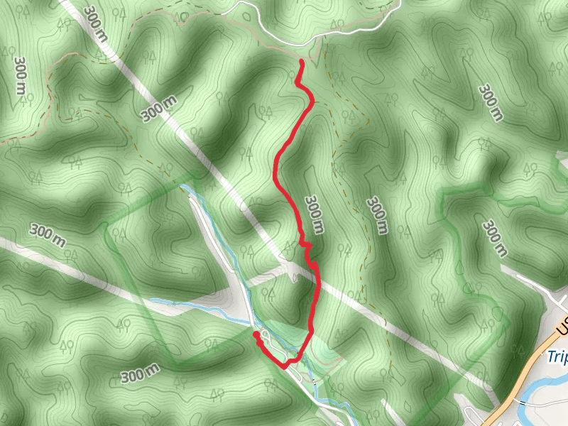 Rodburn Hollow Park North Walk
