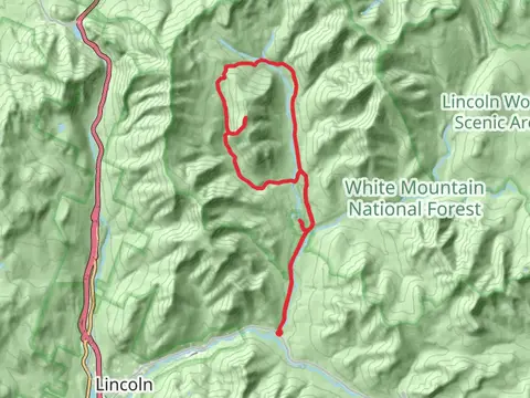 Owl Head Summit Loop via Lincoln woods Trail