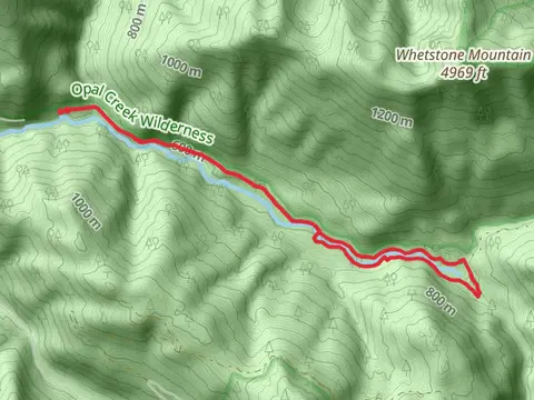 Little North Santiam River Loop
