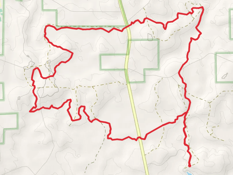 Conecuh Loop Trail - Blue Lake