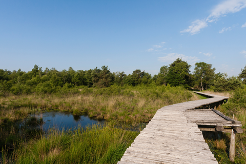 Meerbaansblaak, Aan t Eifde and De Groote Peel Loop