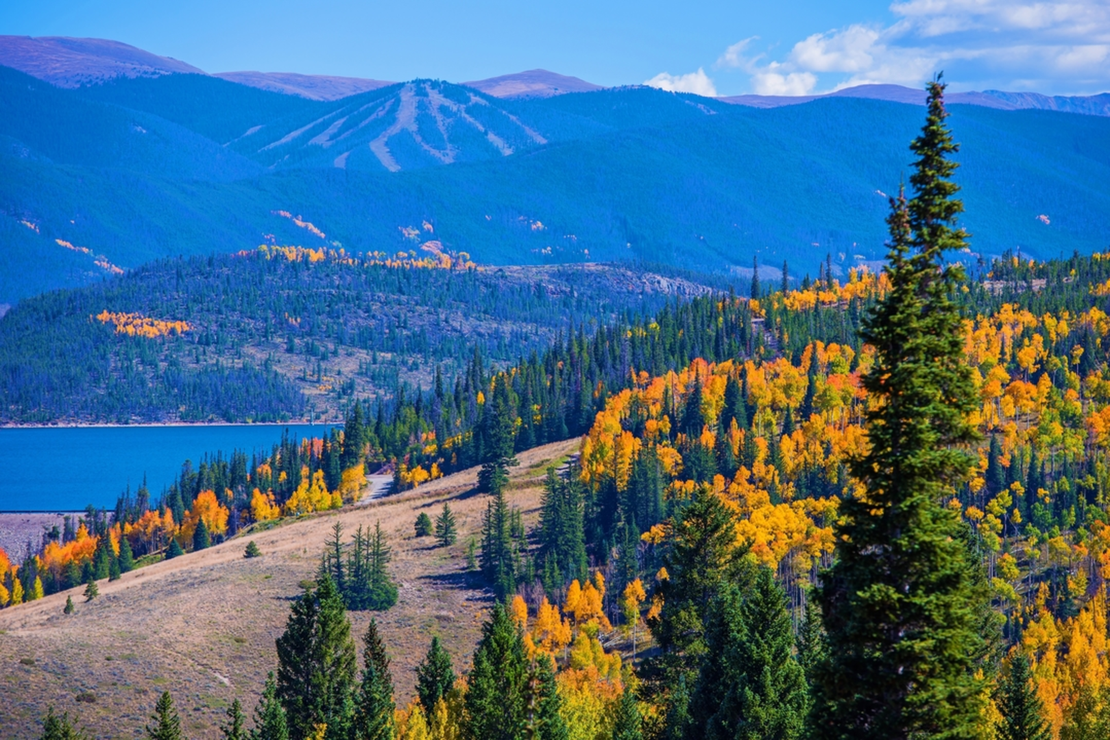 An image depicting the trail Mesa Cortina Trail and its surrounding area.