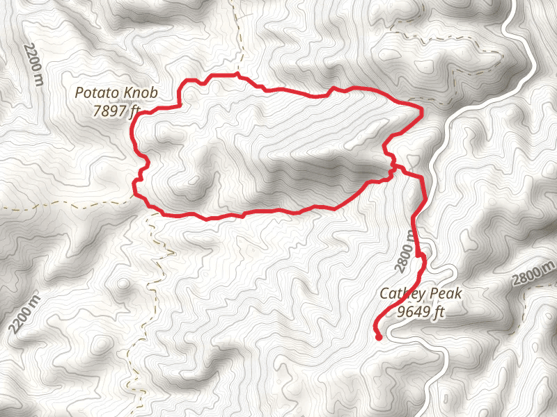 Rim, San Andreas Canyon and Heart Attack Canyon Loop Trail