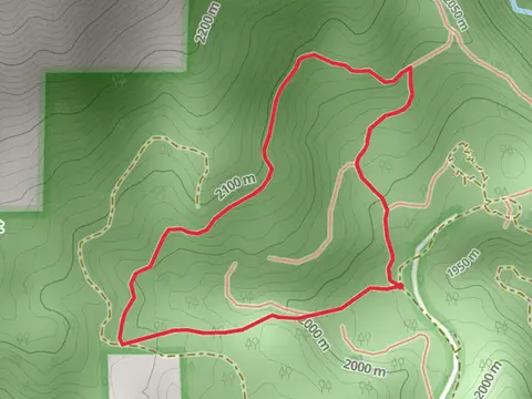 Loop Besides Shake Camp Campground