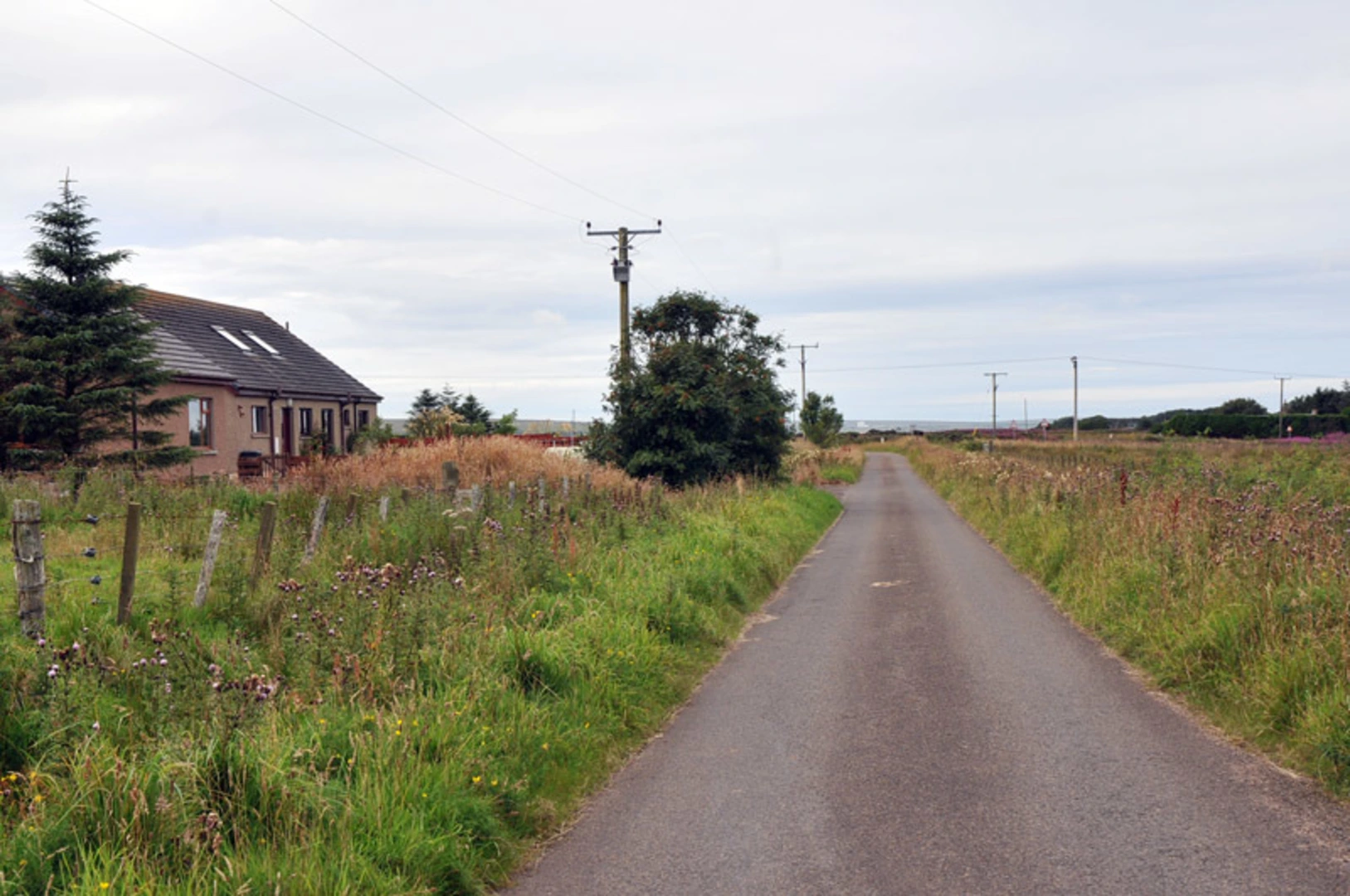 An image depicting the trail Rowan Loop Trail - Georgemas and its surrounding area.
