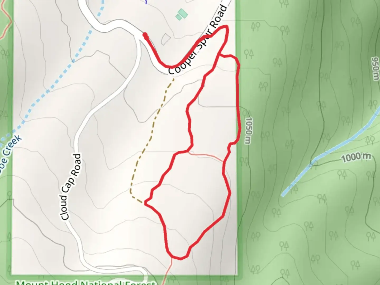 An image depicting the trail Cooper Spur Road Loop and its surrounding area.