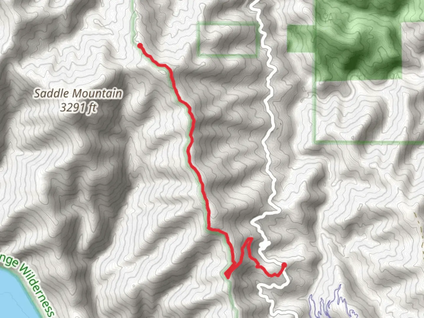 An image depicting the trail Saddle Mountain Road Walk and its surrounding area.