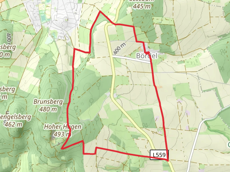 Rundwanderweg Dransfeld 5