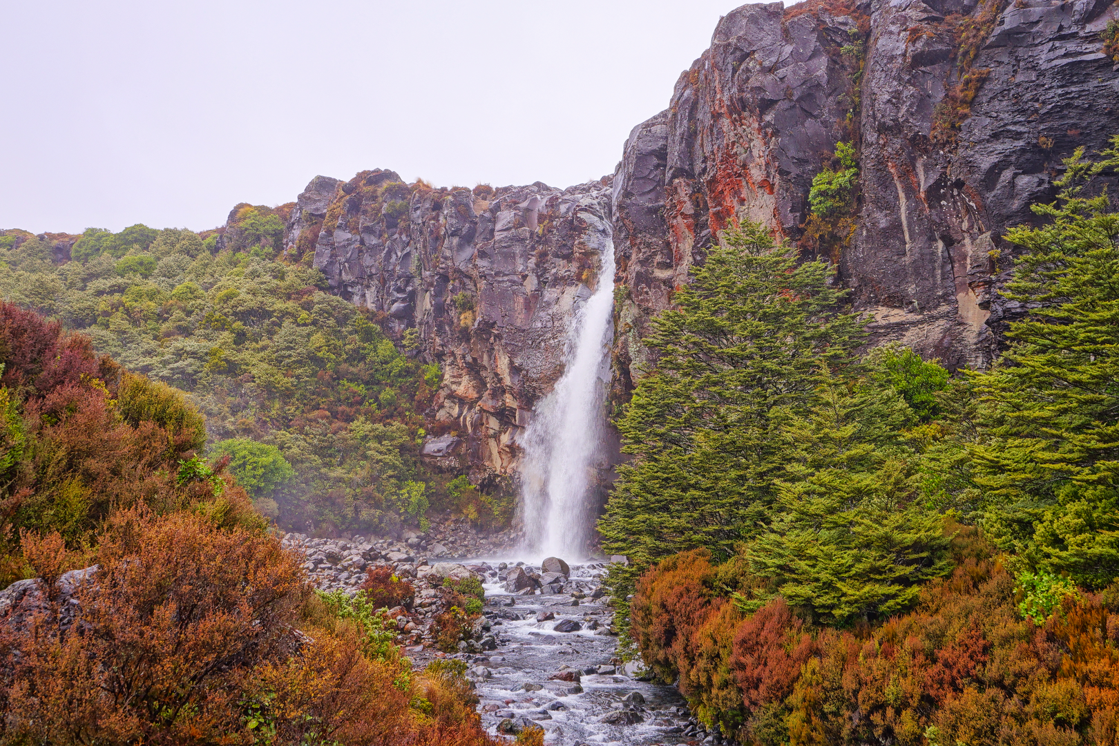 An image depicting the trail Waitonga Falls Trail and its surrounding area.