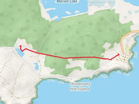 Thomson - Pfitzner Plaster Trail