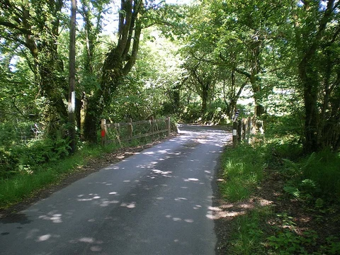 Gelli Fawr Walk