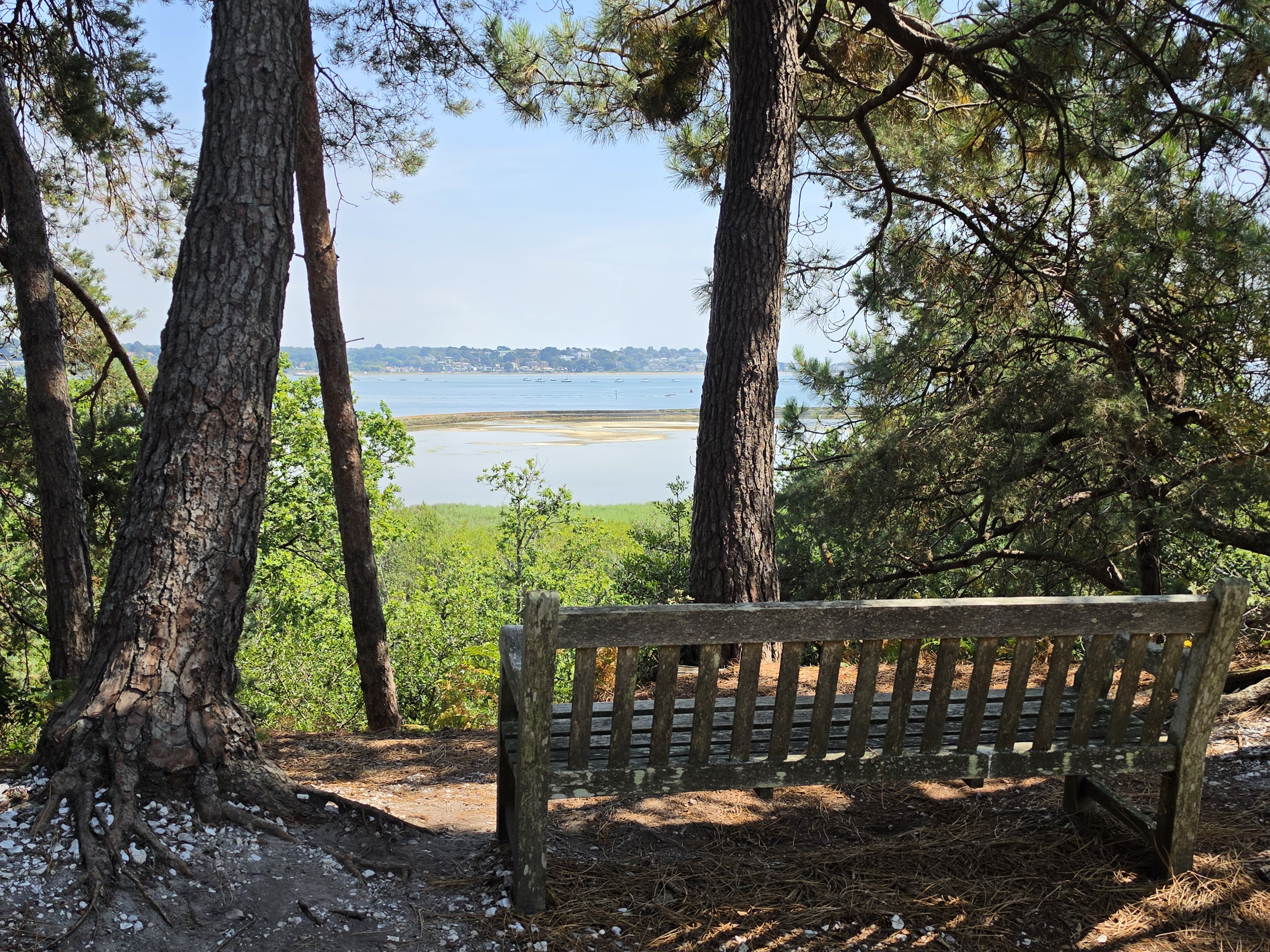 A map preview of the recording Hike on Brownsea Island Loop.