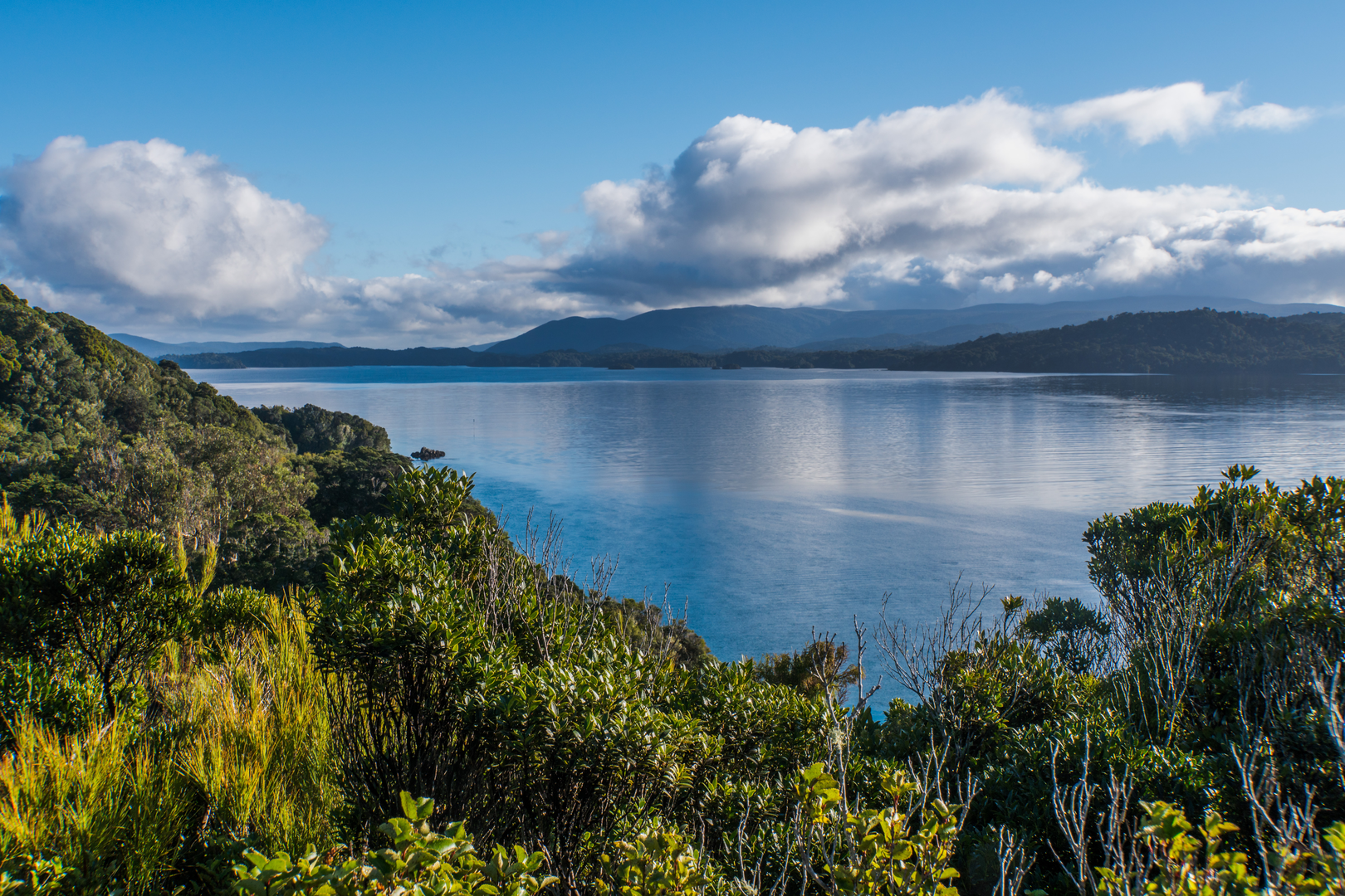 An image depicting the trail Ulva Island - Te Wharawhara Walking Track and its surrounding area.
