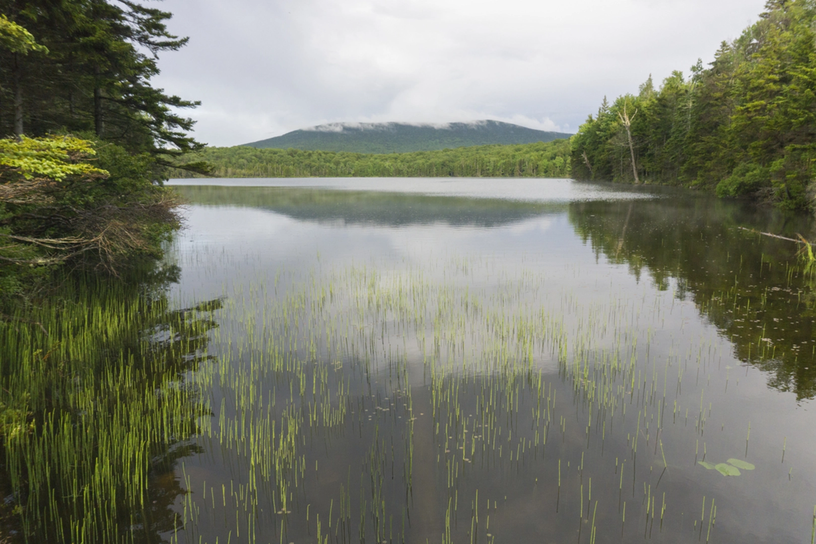 An image depicting the trail Stratton Pond Trail and its surrounding area.