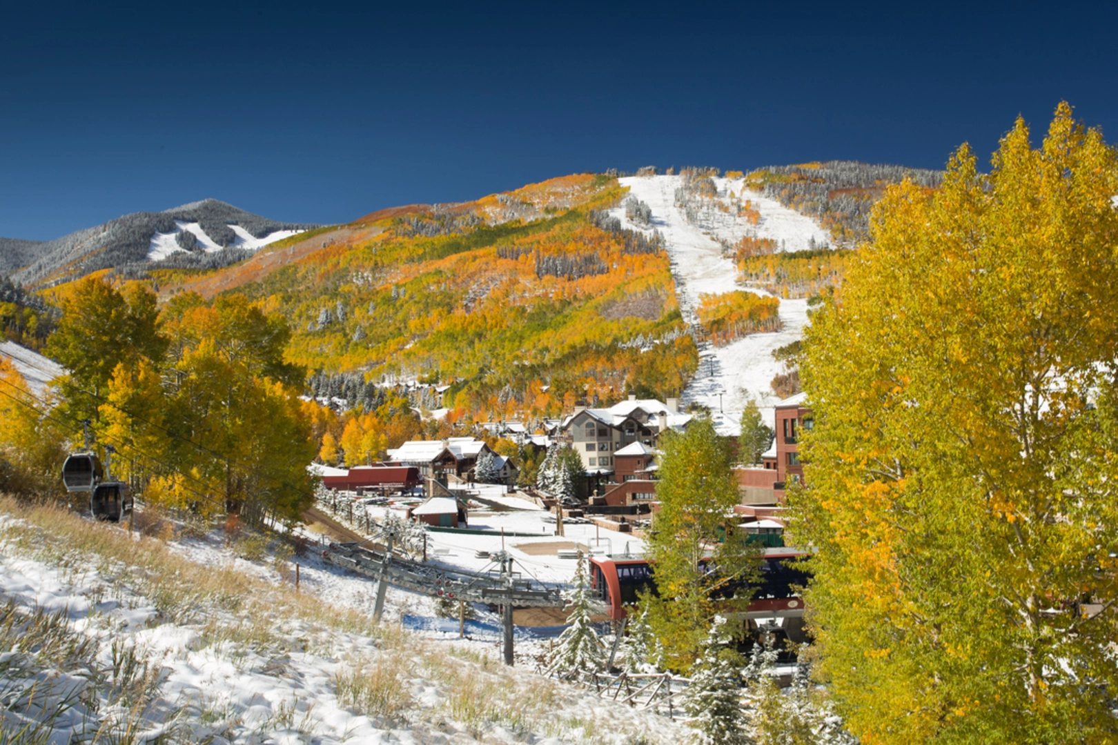 An image depicting the trail Beaver Creek Trail and its surrounding area.