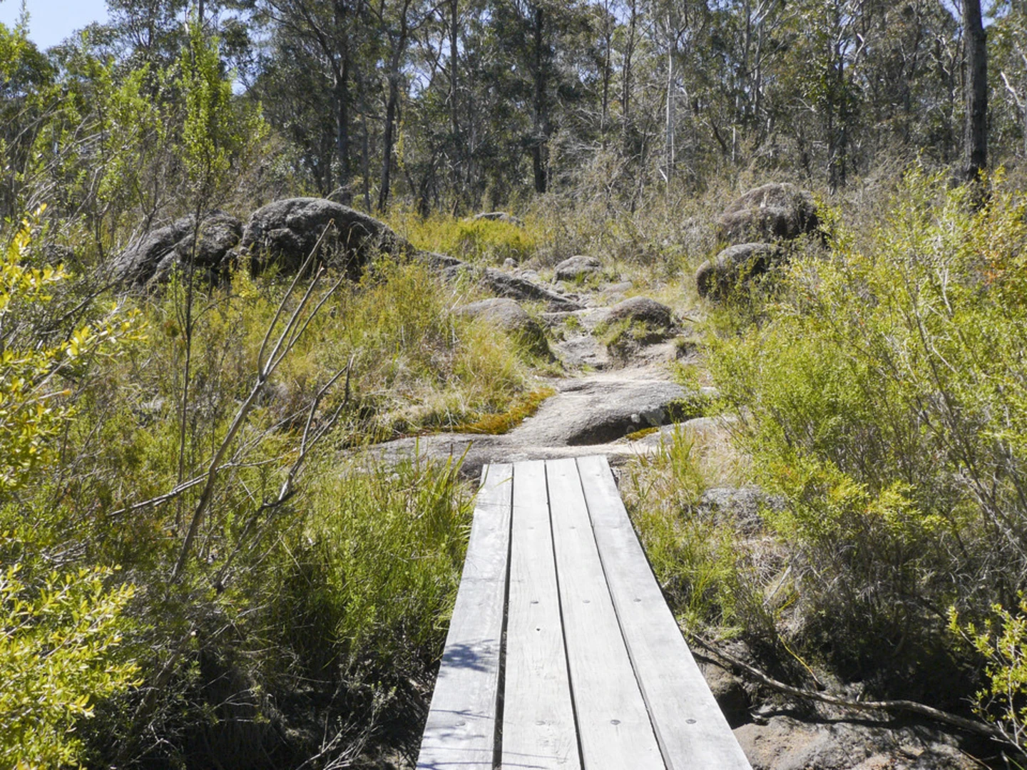 An image depicting the trail Warrigal Track and its surrounding area.