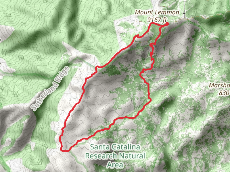 Lemmon Creek and Mount Lemmon Trail Loop