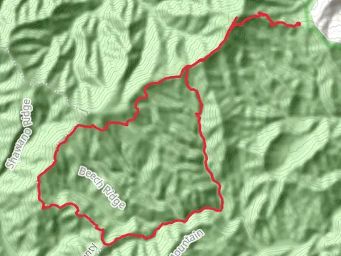 Mount Sterling, Balsam Mountain, Balsam High Top and Ledge Bald Loop Trail