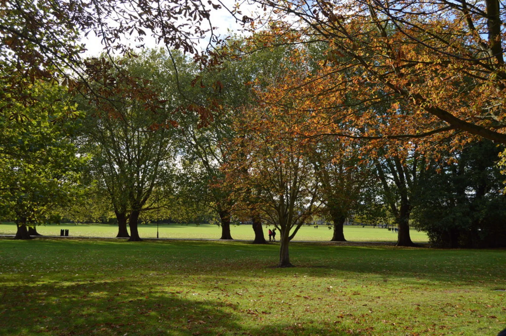 An image depicting the trail Cambridge Backs Loop Walk and its surrounding area.