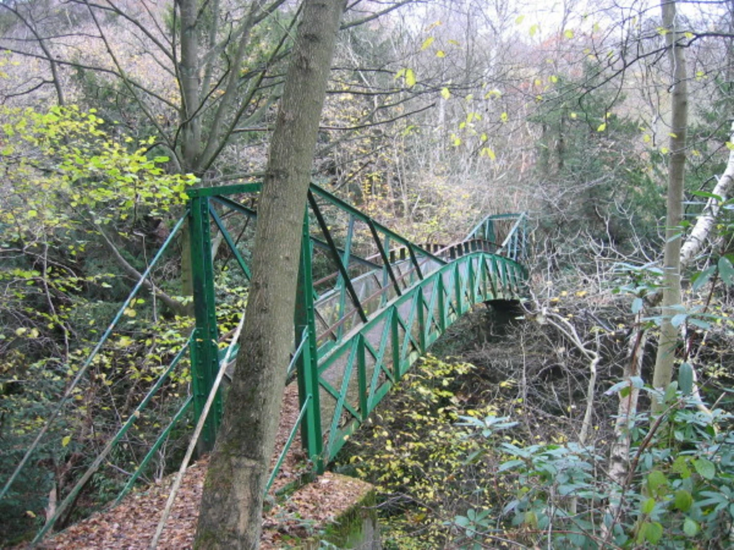An image depicting the trail Castle Eden Dene NNR Loop and its surrounding area.