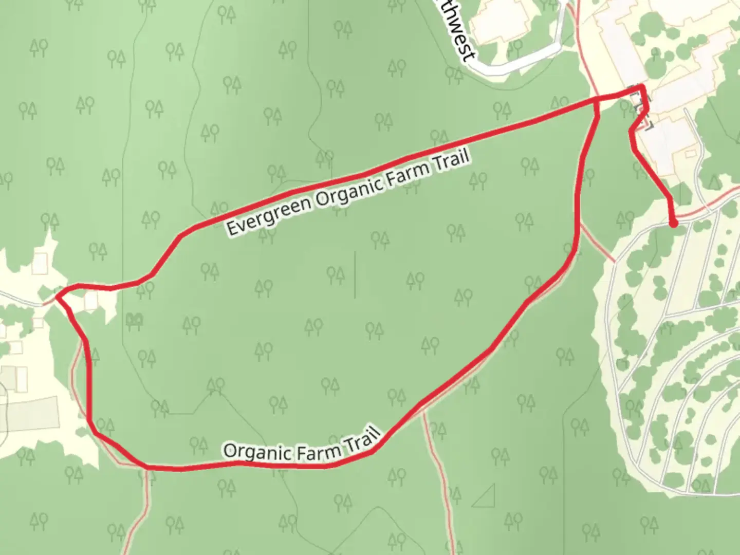 An image depicting the trail McCann Plaza Drive Loop and its surrounding area.