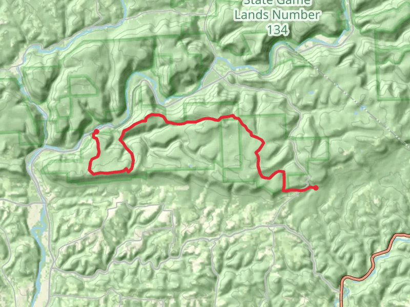 Loyalsock Trail