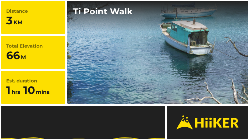 Ti Point Walk | Rodney | New Zealand