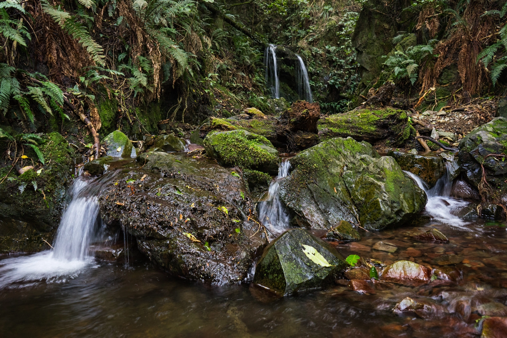 An image depicting the trail Sanders Falls Walk and its surrounding area.
