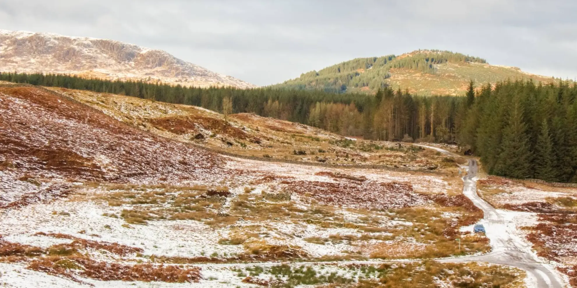 An image depicting the trail Cairnsmore of Fleet Loop and its surrounding area.