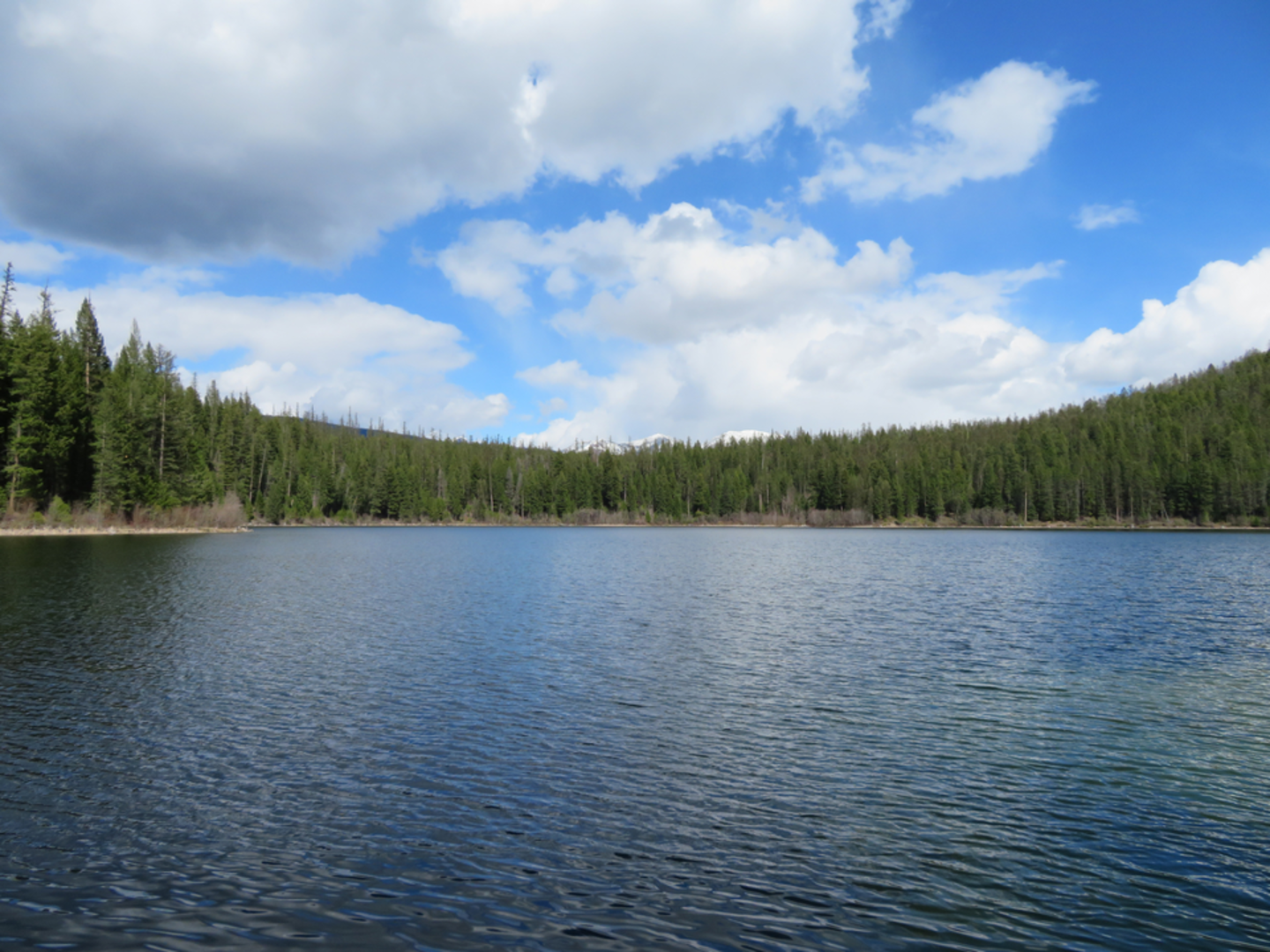 An image depicting the trail Lion Lake Trail and its surrounding area.