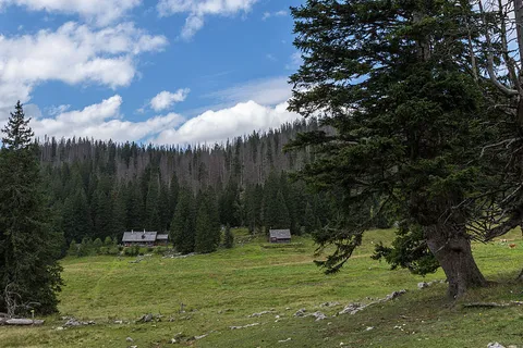 Feichtau Alm - Hoher Nock