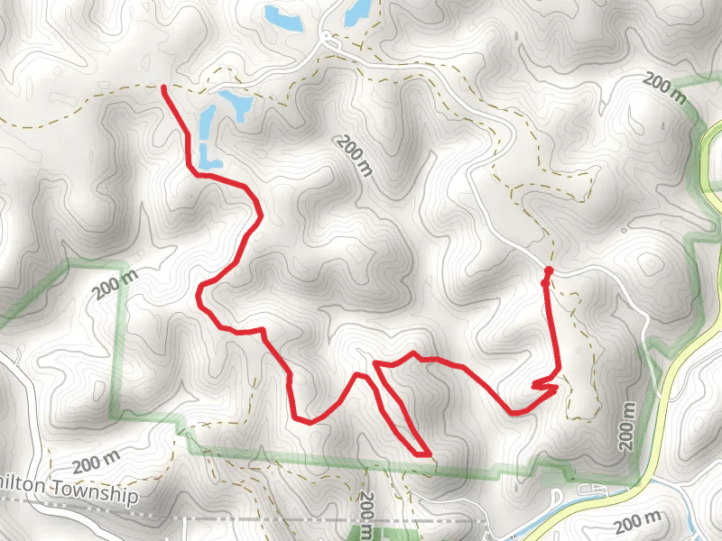 Copperhead Trail